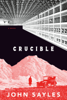 book cover for Crucible