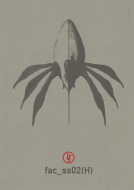book cover for Brain Fruit