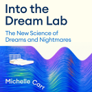 book cover for Into the Dream Lab
