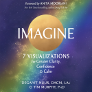 book cover for Imagine