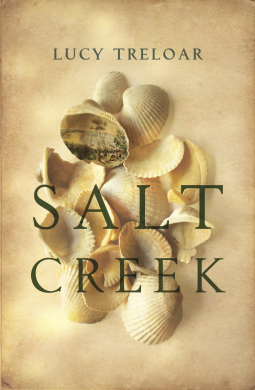 book cover for Salt Creek