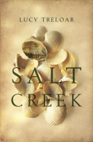 book cover for Salt Creek