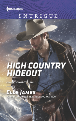 book cover for High Country Hideout