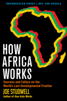 book cover for How Africa Works