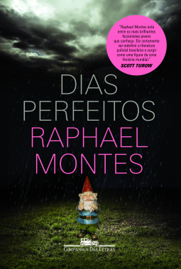 book cover for Dias perfeitos
