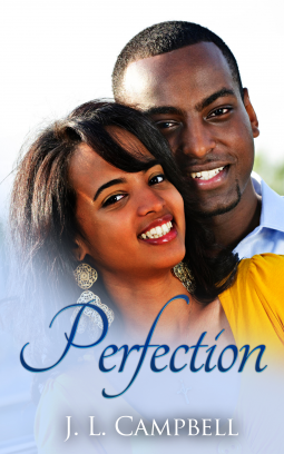 book cover for Perfection
