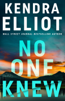 book cover for No One Knew