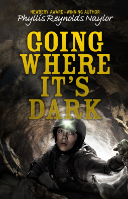book cover for Going Where It's Dark