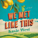 book cover for We Met Like This
