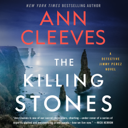 book cover for The Killing Stones