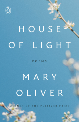 book cover for House of Light