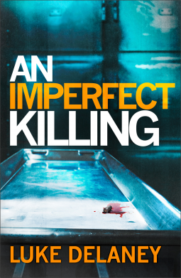 book cover for An Imperfect Killing