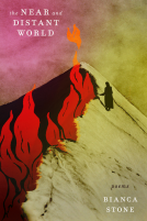 book cover for The Near and Distant World