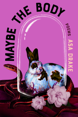 book cover for Maybe the Body