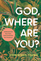 book cover for God, Where Are You?