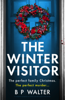 book cover for The Winter Visitor