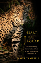 book cover for Heart of the Jaguar
