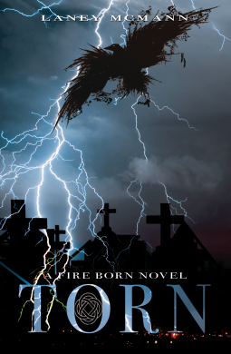 book cover for Torn