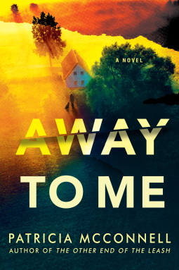 book cover for Away to Me