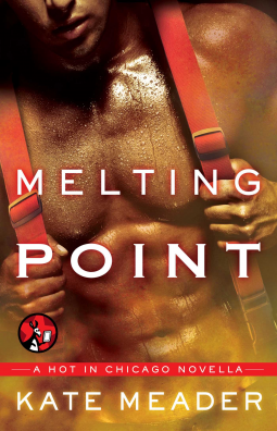 book cover for Melting Point
