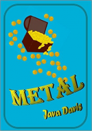 book cover for Metal: A Treasure Hunt
