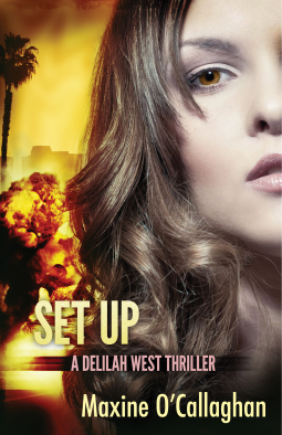 book cover for Set Up