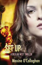 book cover for Set Up