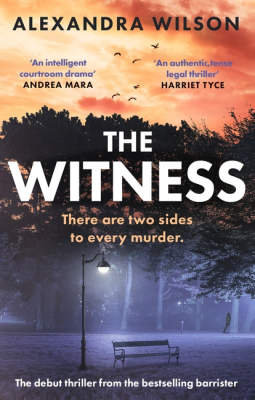 book cover for The Witness