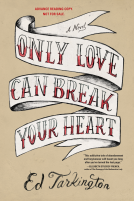 book cover for Only Love Can Break Your Heart