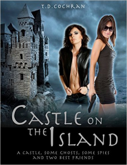 book cover for Castle on the Island