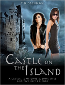 book cover for Castle on the Island