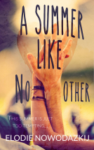 book cover for A Summer Like No Other