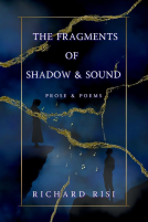 book cover for The Fragments of Shadow & Sound