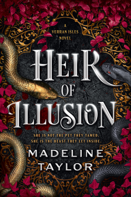 book cover for Heir of Illusion