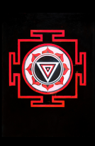 book cover for The Mountain Shadow