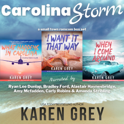 book cover for Carolina Storm