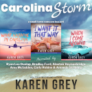 book cover for Carolina Storm