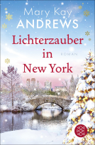 Buchcover für Lichterzauber in New York