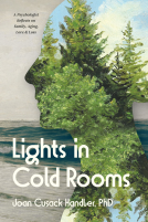 book cover for Lights in Cold Rooms