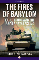 book cover for The Fires of Babylon