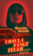 Buchcover für Ursula fängt Feuer