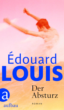 Buchcover für Der Absturz