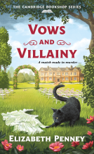 book cover for Vows and Villainy