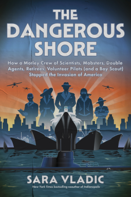 book cover for The Dangerous Shore
