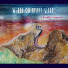 book cover for Where Do Bears Sleep?