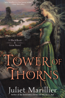 book cover for Tower of Thorns