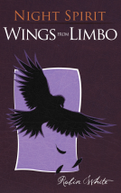 book cover for Night Spirit: Wings from Limbo