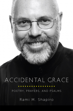 book cover for Accidental Grace