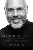 book cover for Accidental Grace