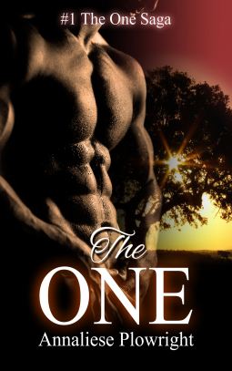 book cover for The One